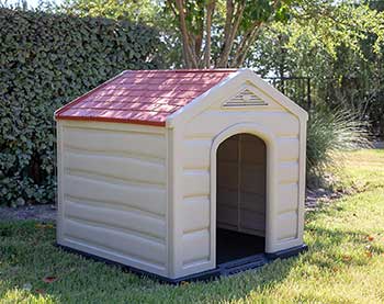 dog house that stays cool
